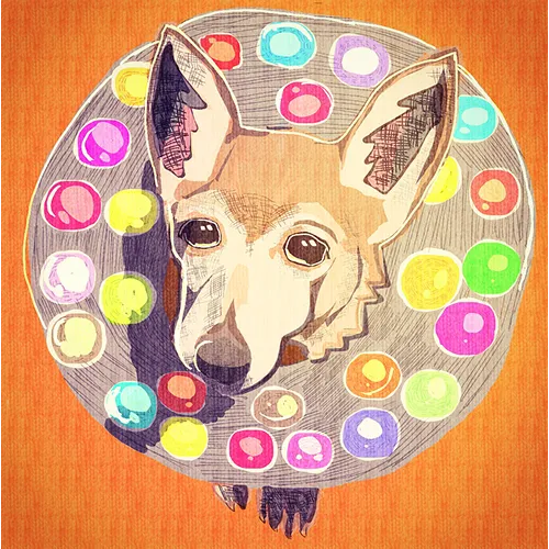 ヒムりンのプロフィール写真